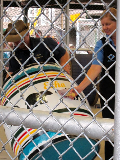 IMG_4748.jpg - Can you see the bear's tongue finding its way through the barrel hole to find the ice cream??