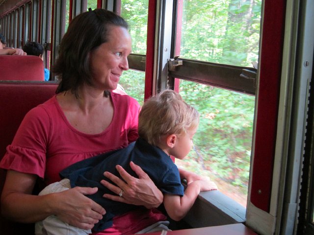 IMG_4622.jpg - Nathan didn't want to miss anything going on outside the train.