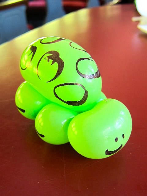 IMG_4646.jpg - What a cute turtle!