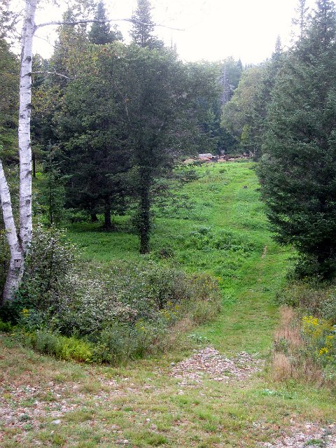 IMG_1651.jpg - This is the view from the porch towards the river.