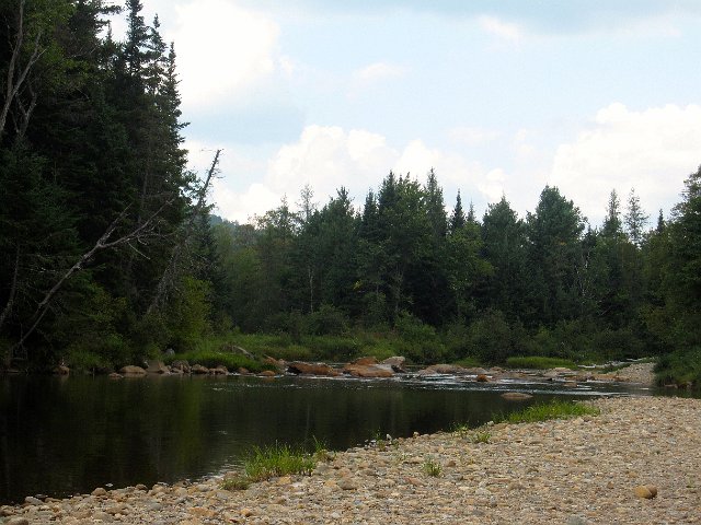 IMG_1734.jpg