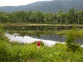 IMG_1788