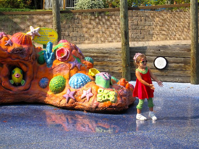 IMG_1876.jpg - We stopped to cool off in the Oceans of Fun while en route to go on a couple rides yet another time.
