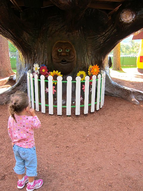 IMG_4928.jpg - Grandfather Tree