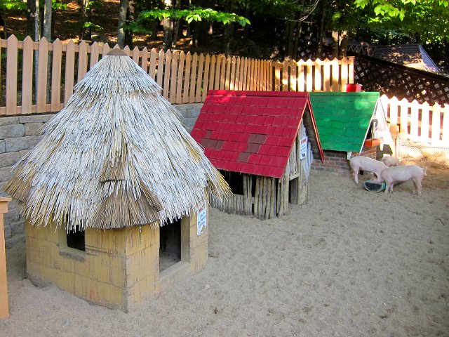 IMG_4974.jpg - Everyone knows the story of the Three Little Pigs, but have you met them in person?